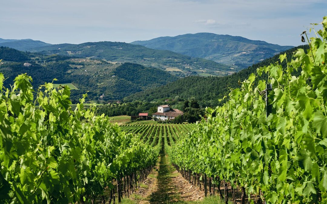Chianti Rufina, history, nature and prestigious wines