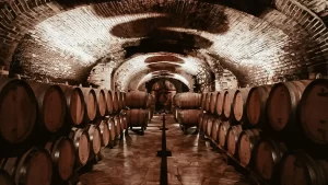 a cellar of a winery in tuscany during the "cantine aperte 2022" event on 28 and 29 may