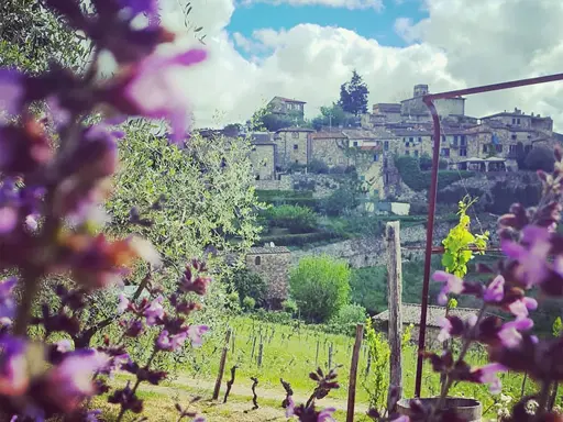 Vista-sul-borgo-di-Montefioralle-a-Greve-in-Chianti