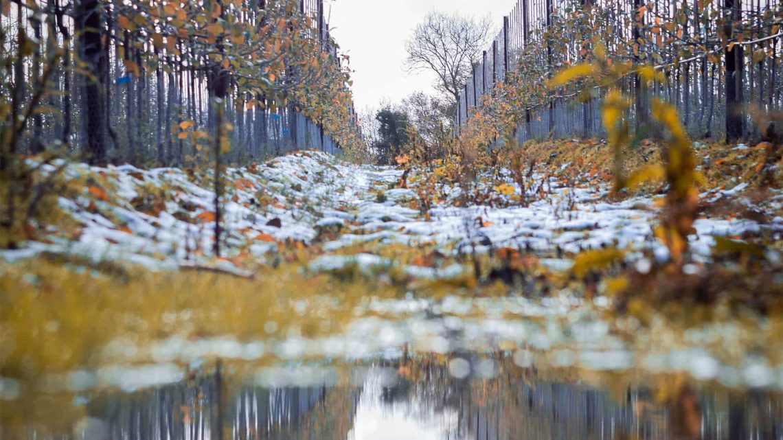 Even winter in Chianti can hold exciting opportunities and experiences