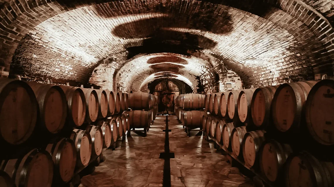 Una cantina di un'azienda vinicola in Toscana durante l'evento "Cantine Aperte 2022" il 28 e il 29 maggio