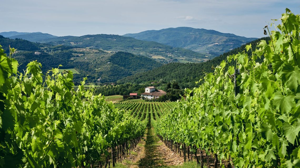 La zona e il vino del Chianti Rufina